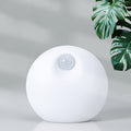 https://www.fureverneeds.com.au/