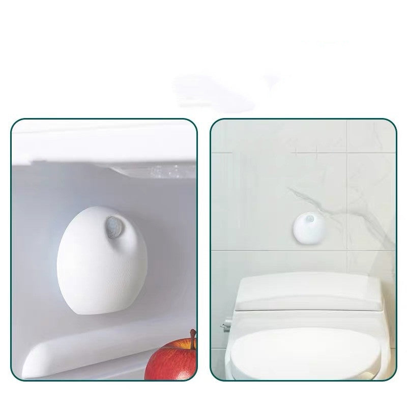 https://www.fureverneeds.com.au/