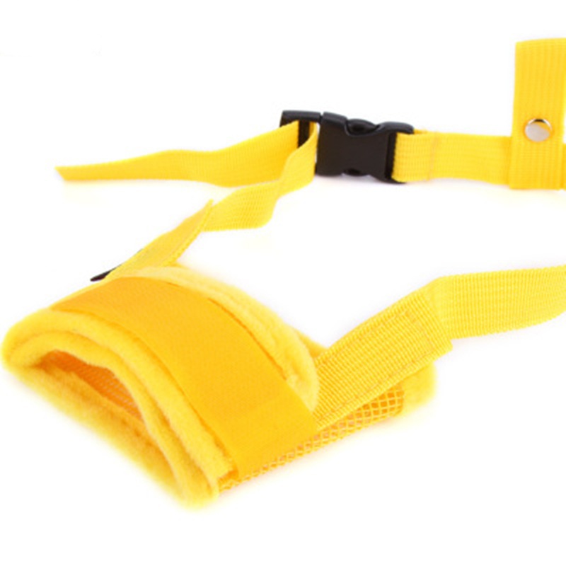 https://www.fureverneeds.com.au/