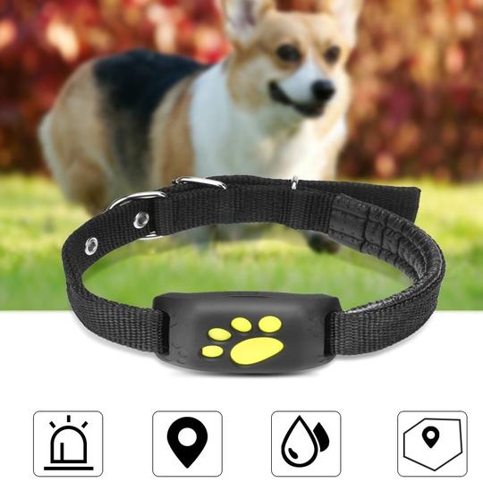 https://www.fureverneeds.com.au/