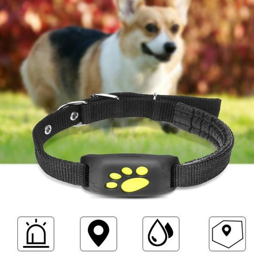 https://www.fureverneeds.com.au/